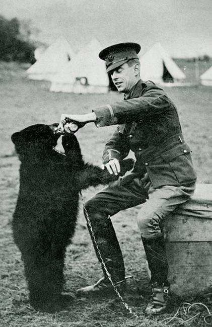Micimackó karakterét a képen látható medve, Winnie ihlette.