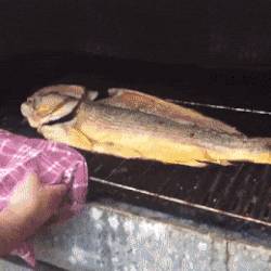 Ezzel véget ért a pazar vasárnapi grillezés.