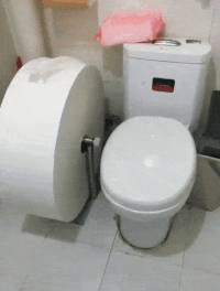Elvégre mindenki utálja, amikor nála fogy ki a WC-papír.