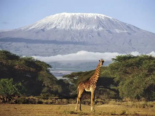 Kenya.