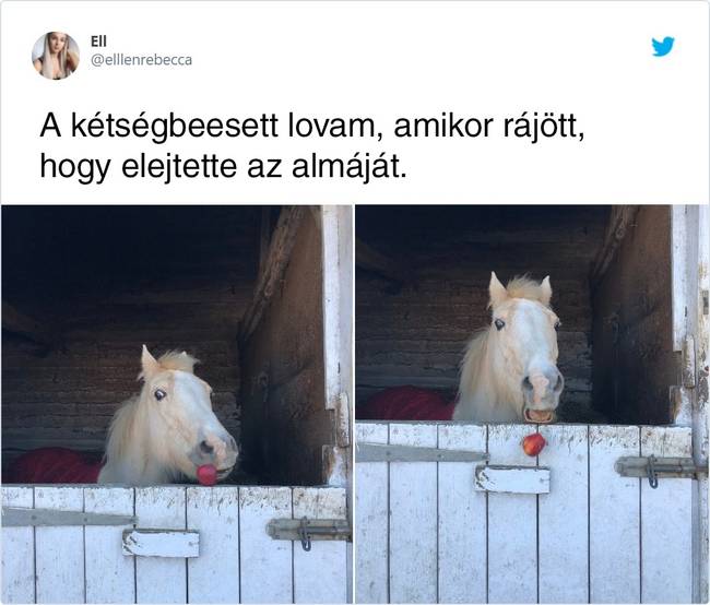 Hoppá!