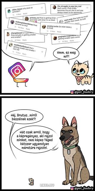 8 új ‘Pixie és Brutus’ képregény, ami segít bearanyozni a napod