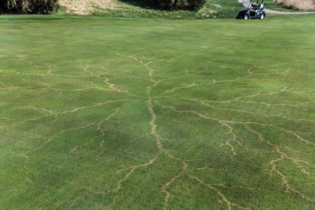 Golfpálya gyepébe csapott villám nyomai.