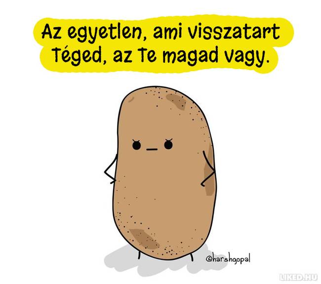20 újabb bölcs gondolat egy krumplitól, ami Téged is gondolkodóba ejt