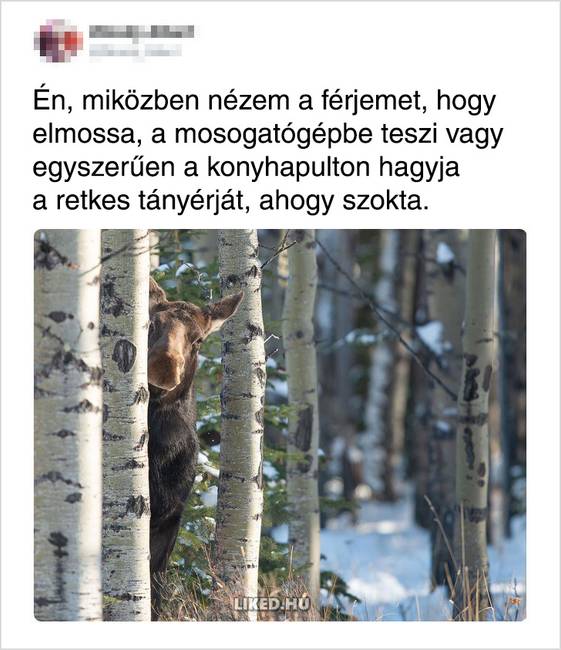 18 Tweet a házas élet ritkán taglalt oldaláról, amiről mindenki felismeri önmagát és párját