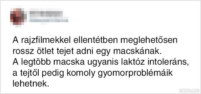 15 népszerű tévhit, amit egész életünkben rosszul tudtunk