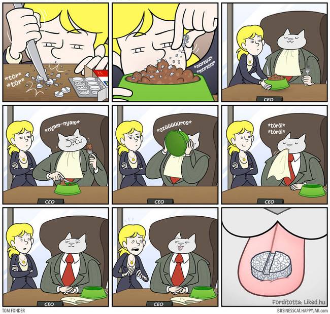 20 humoros illusztráció arról, hogy milyen lenne az élet, ha egy macska lenne a főnökünk