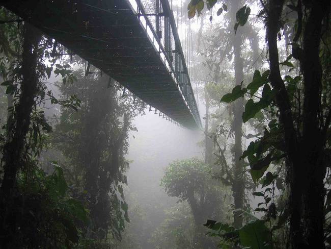 Függőhíd Costa Rica esőerdejében
