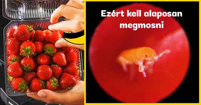 Eper