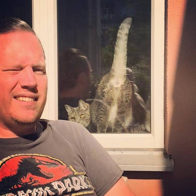 „Csak egy szép nyaralási fotót szerettem volna."