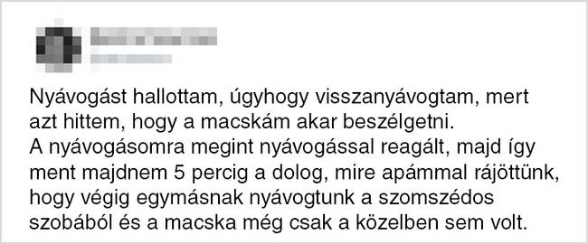 Itt nem kell apasági teszt a rokoni kapcsolat bizonyításhoz...😂