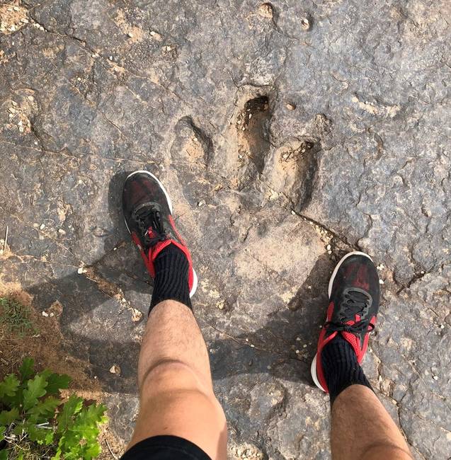 Egy őskori dinoszaurusz lábnyom, ami mára teljesen megkövült.