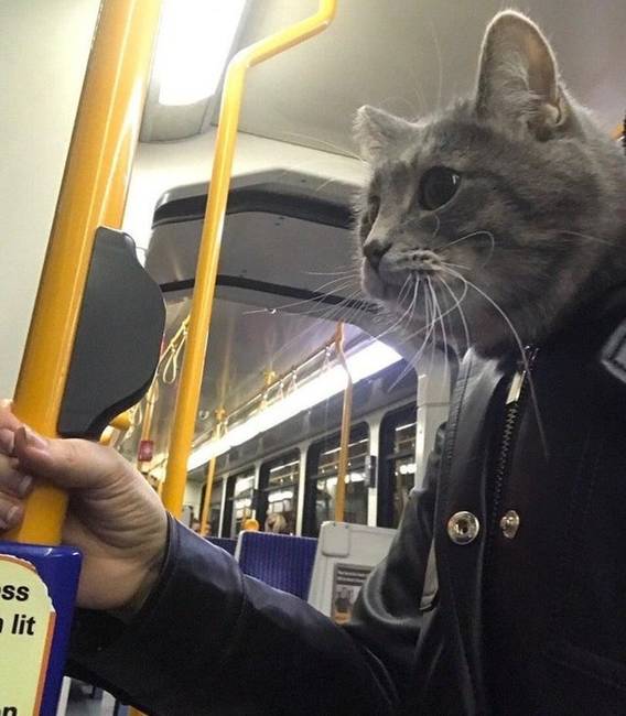 A metróban sok furcsa utassal találkozhatunk.
