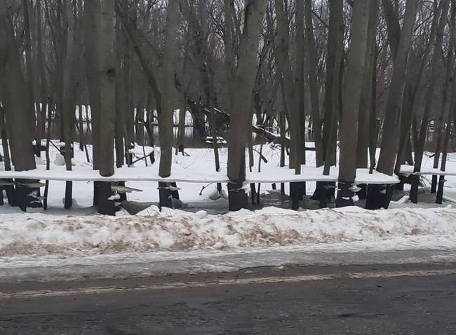 A folyó először elárasztotta ezt az erdőt, majd megfagyott a felszíne, és visszahúzódott a medrébe, de a jégtáblákat a fák között hagyta.
