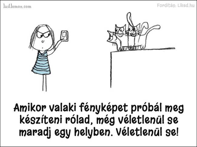 20 humoros illusztráció, ami megmutatja, hogyan kell jó macskának lenni