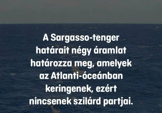 tenger2