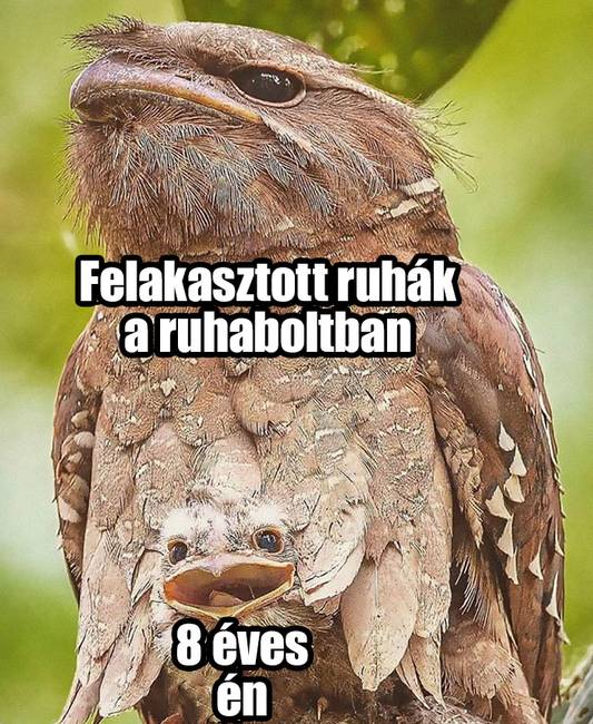 20 dolog, amit mindannyian csináltunk gyerekkorunkban, de nem beszéltünk róla senkinek