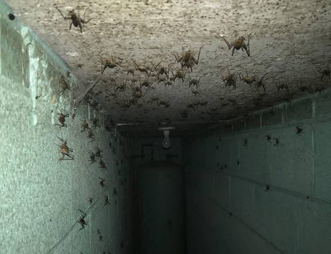 „A házunk kertjében van egy bunker, gondoltam ledugom a nyílásán a telefonomat és készítek egy képet a belsejéről. Hála égnek, hogy nem én másztam le ide...”