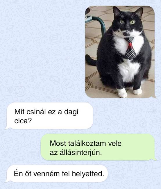 Függetlenül attól, hogy mennyire vagy képzett, egy ilyen fickóval nem könnyű felvenni a versenyt.