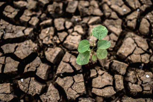Rekordot döntött az El Niño: elérheti-e a hőmérséklet az 50 fokot Európában?