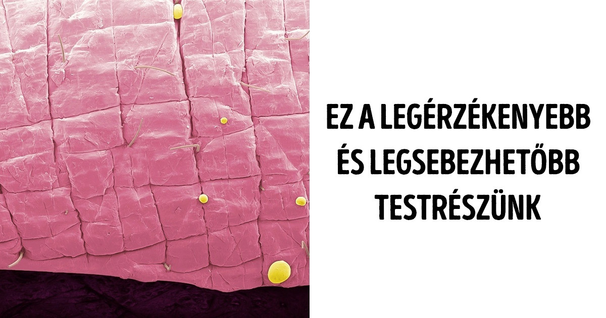 Az emberi test 16 érdekes tulajdonsága, amiről még az orvosok sem mindig tudnak