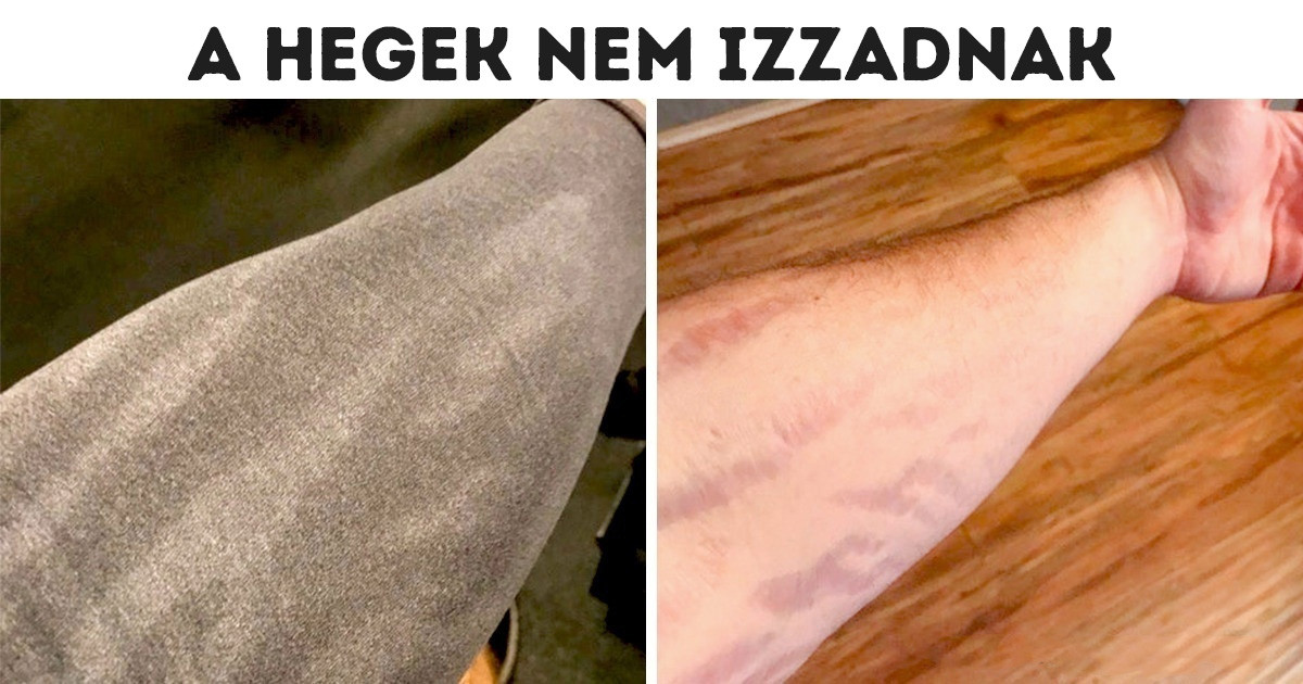 21 fotó, ami bizonyítja, hogy a körülöttünk lévő világ tele van meglepetéssel