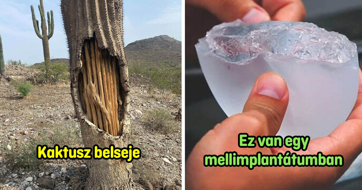 15 dolog, ami belülről egy egészen ismeretlen oldalát tárja fel előttünk
