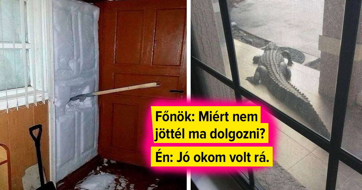 12 alkalom, amikor a "Miért késtem a munkából" üzenet mellé képet is kellett csatolni