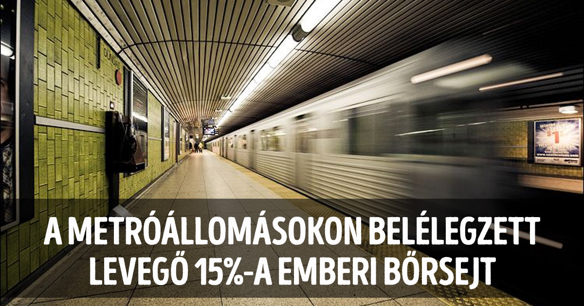 21 bizarr tény és statisztika, amit bárcsak sosem tudtunk volna