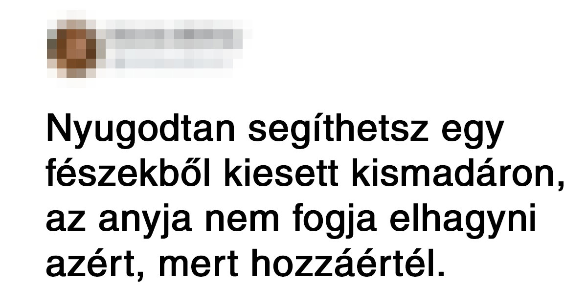 15 népszerű tévhit, amit egész életünkben rosszul tudtunk