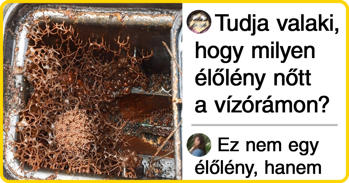 30 furcsa dolog, amire teljesen véletlenül bukkantak az emberek