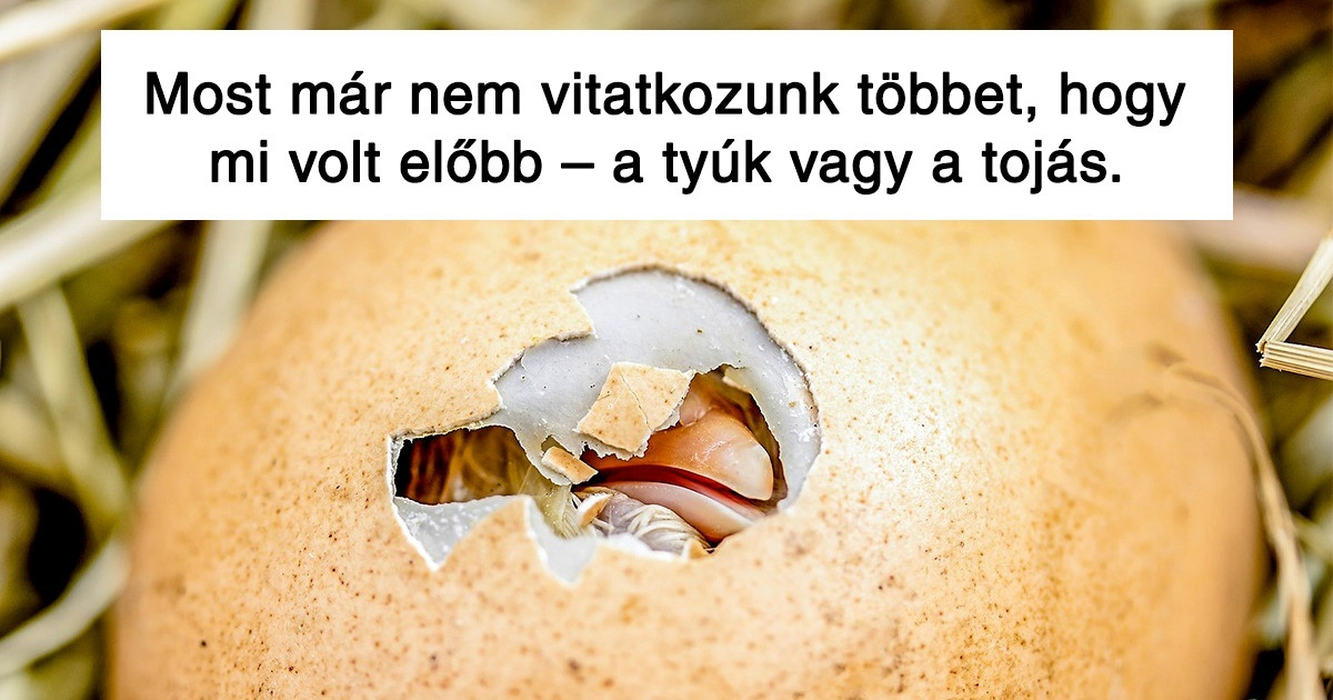 10 kérdés, ami gyerekkorunk óta foglalkoztat bennünket és a tudomány végre képes választ adni rá