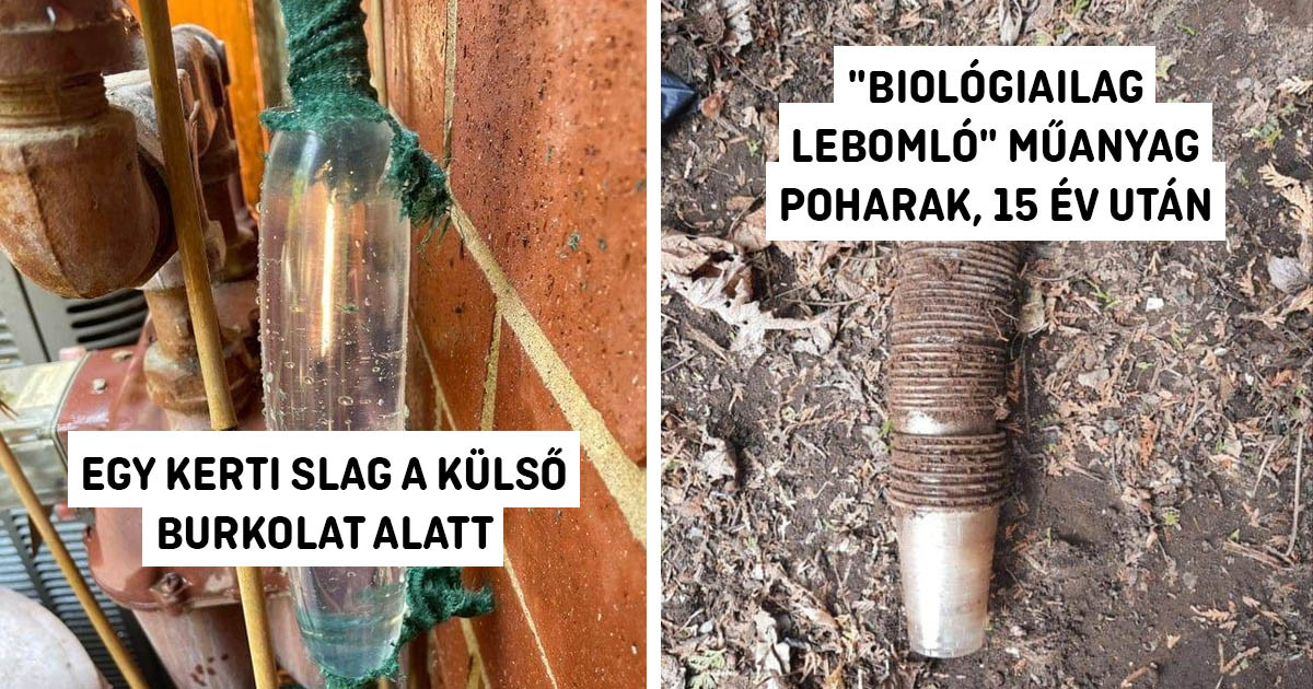Mi történik, ha: 16 fotó a kíváncsiság kielégítésére