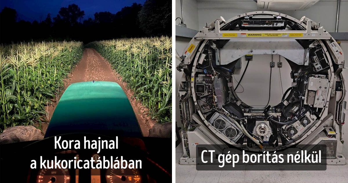 Az emberek 21 szokatlan pillanatot osztottak meg az interneten és azóta teljesen más szemmel nézünk néhány dologra