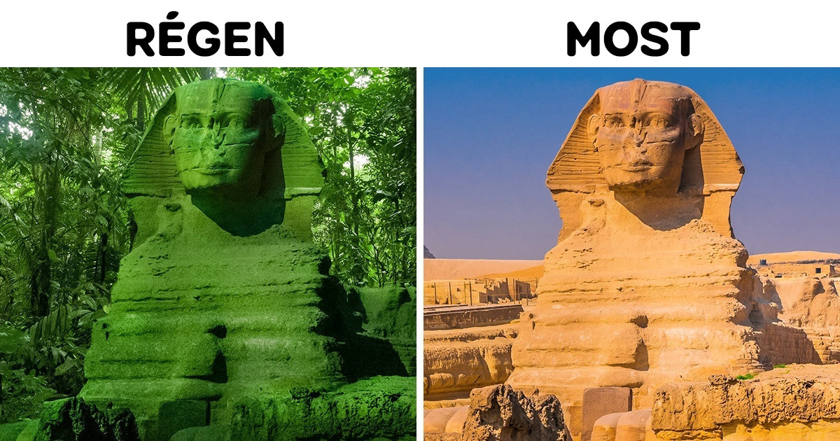 14 izgalmas érdekesség, amit a National Geographic műsorokból tanult meg a világ
