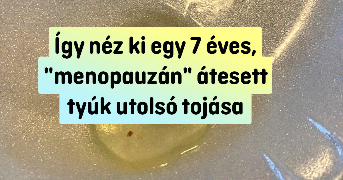20 ember, aki véletlenül választ kapott néhány érdekes "Mi lesz, ha…" kérdésre