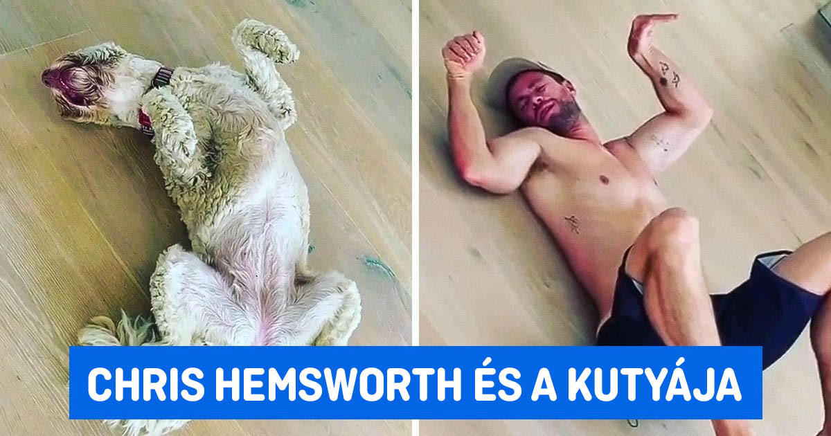 20 híresség, akik nagyon szeretik az állataikat, és ezt nem is titkolják