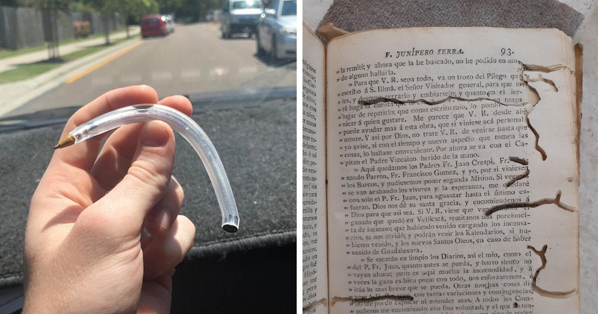 16 érdekes fotó, ami választ ad a kérdésre: "mi történik, ha…"
