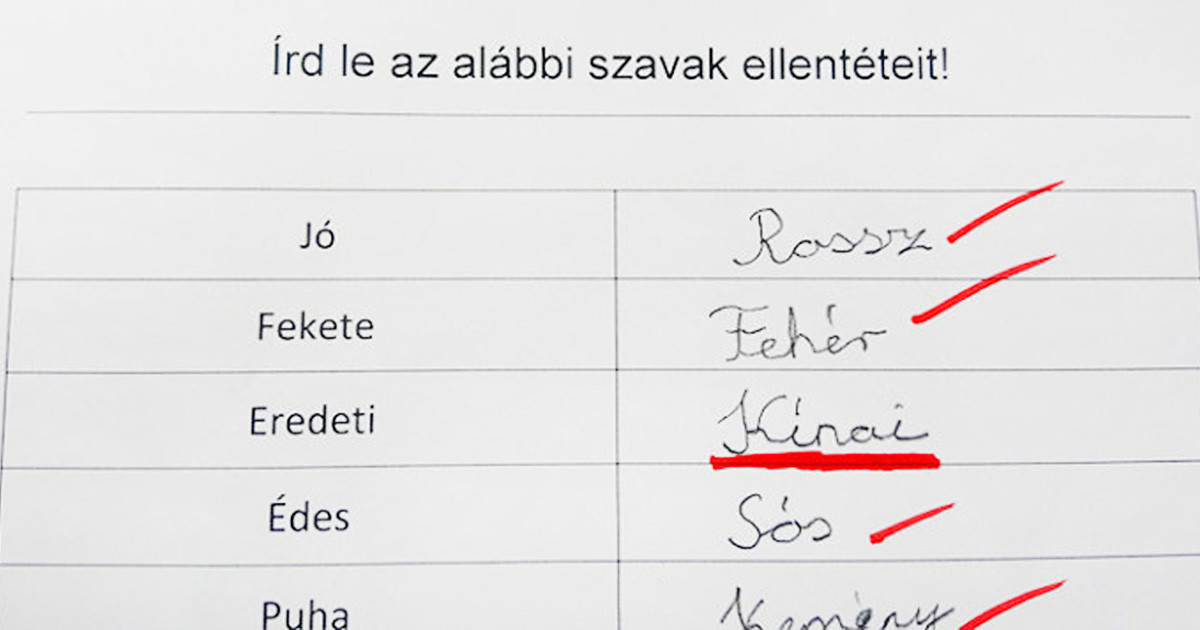 21 röhejes iskolai dolgozat, amit a világ legkreatívabb diákjai írtak