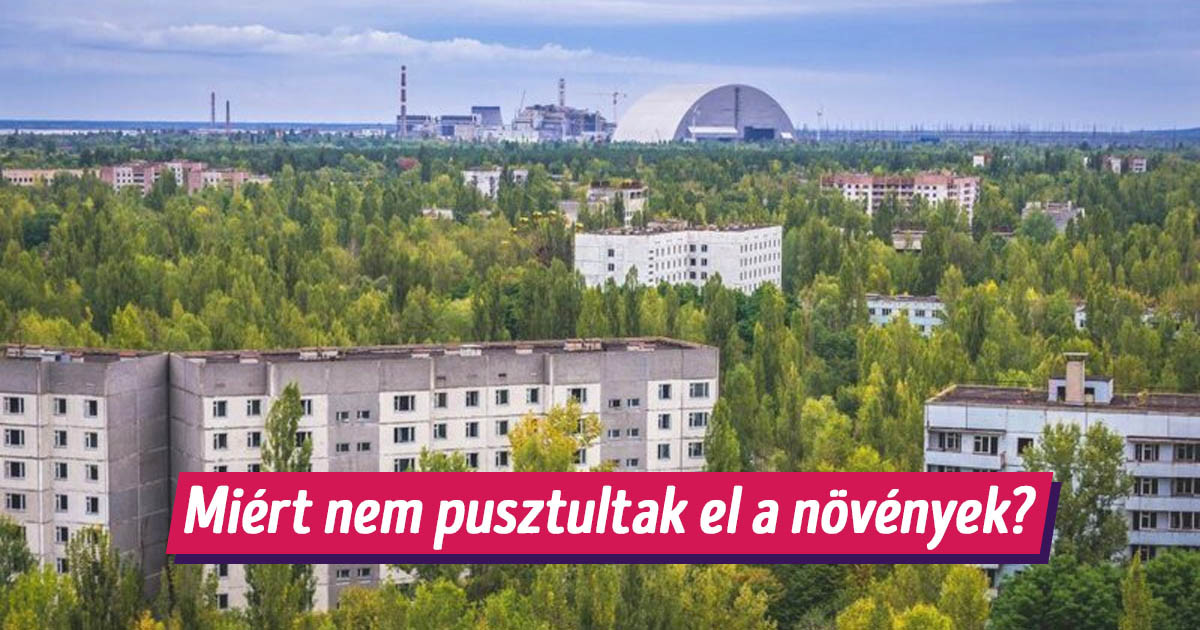 Segítünk megválaszolni 6 izgalmas "Miért?" kérdést, ami legalább egyszer biztos, hogy a te fejedben is megfordult