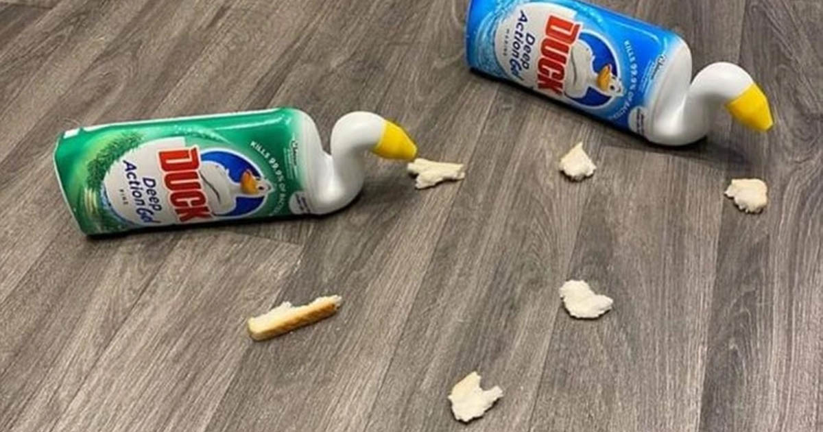 15+ ember, akinek nemcsak hogy gazdag a humorérzéke, de néha vulkán módjára ki is tör