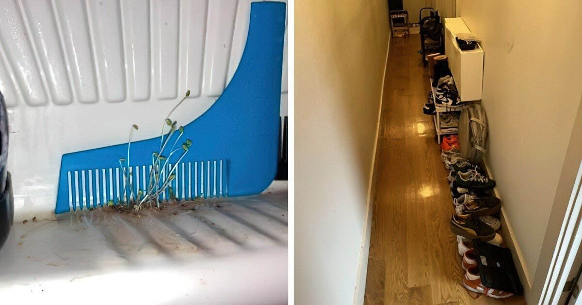 25 szomszéd, akiket az ellenségeidnek sem kívánnál