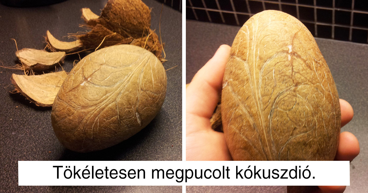 16 tökéletesen megpucolt zöldség és gyümölcs, aminek a látványa egészen megmagyarázhatatlan örömet képes okozni