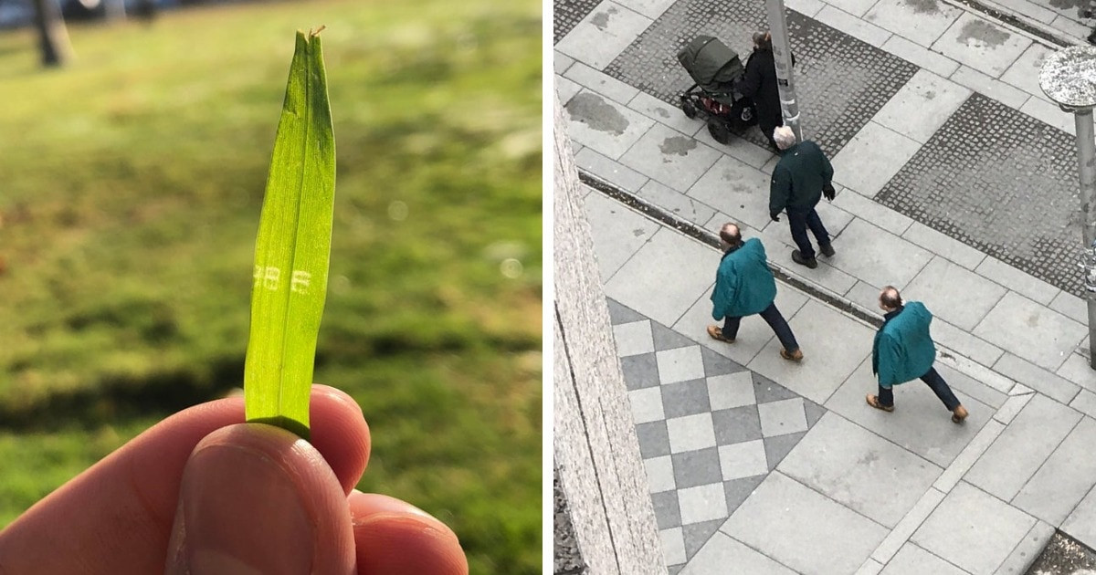 17 alkalom, amikor az emberek meggyőződhettek arról, hogy egy Mátrixban élünk, ami tele van apró hibákkal