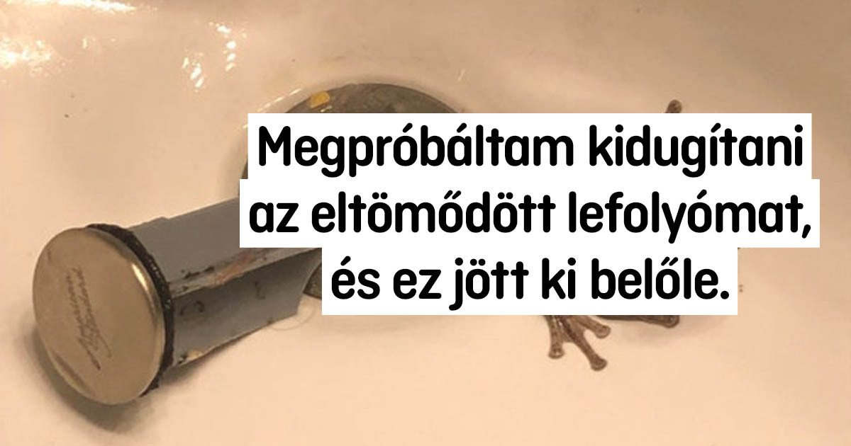 19 felfedezés és találkozás, ami csak egyszer történik az életben