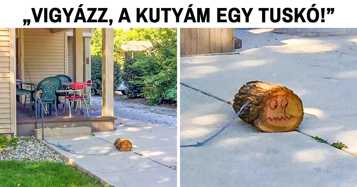 20 fotó, ami bizonyítja, hogy egyeseket őrült dolgokra késztet az unalom