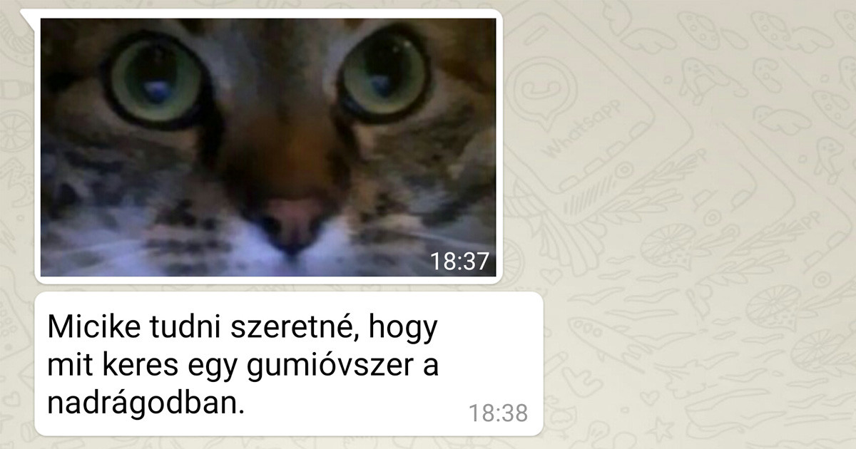 21 édesanya, aki mellett véget nem érő nevetés az élet