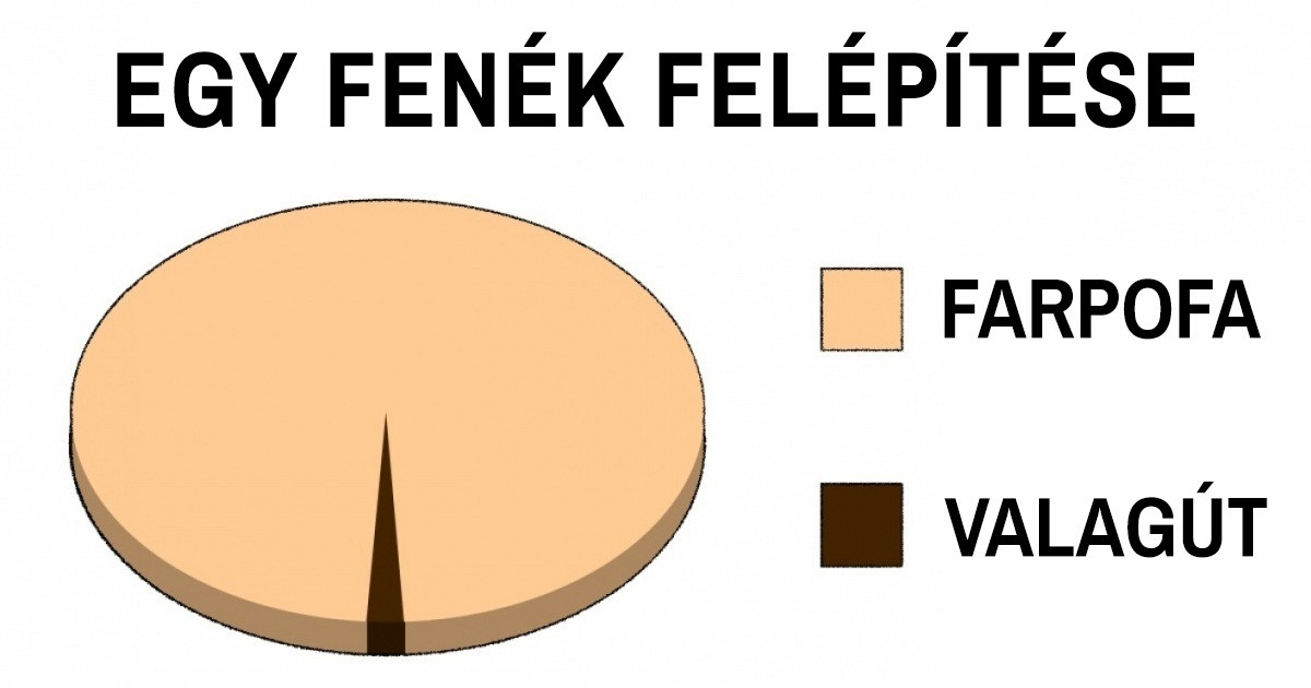 17 félelmetesen pontos diagram, amibe egyszerűen nem lehet belekötni