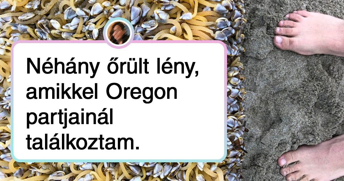 20+ fotó, amiről egyértelműen kiderül, hogy a tenger mélysége számtalan meglepetést tartogat