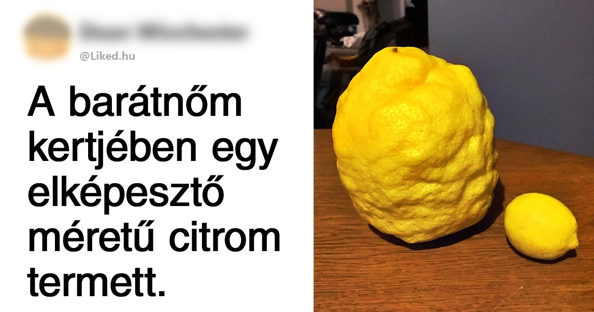 21 dolog és állat, aminek a mérete ezúttal minden elképzelést fölülmúlt